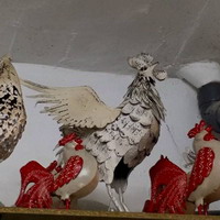 Singing Roosters